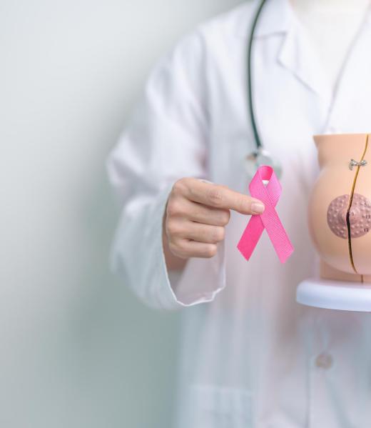 Pink October Breast Cancer Awareness month, doctor woman with pink Ribbon and Breast Anatomy model. National cancer survivors month, health diagnosis, Mother and World cancer day concept